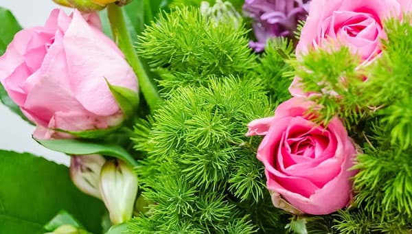 Arreglos florales, plantas de interior, arte funerario, decoración...